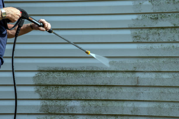Trusted Jonesboro, IL Pressure Washing Services Experts